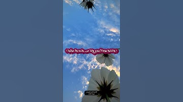 ﴿ يا ايها الناس اتقوا ربكم واخشوا يوما لا يجزي ﴾ #ياسر_الدوسري #سورة_لقمان
