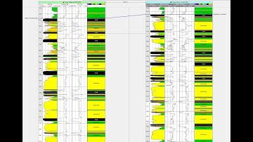 How to add a Lithology Track in Petrel