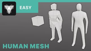 Valence 3D || Super easy human mesh tutorial