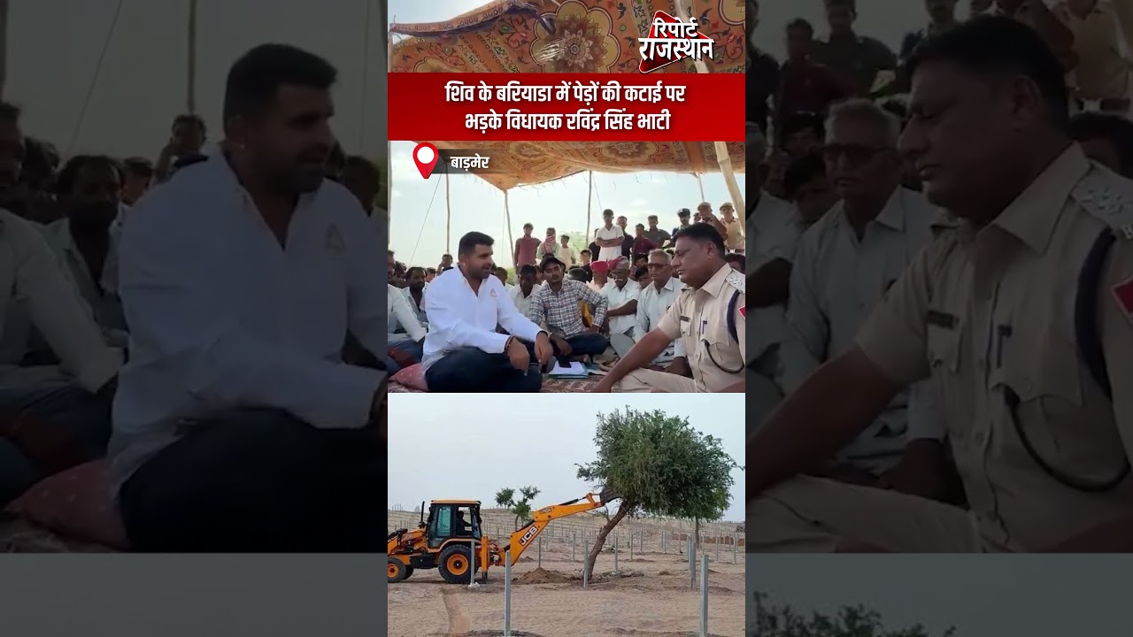 बाड़मेर - शिव के बरियाडा में पेड़ों की कटाई पर भड़के विधायक रविंद्र सिंह भाटी | 