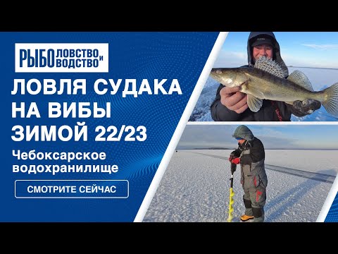 Ловля судака на вибы зимой 2022/2023. Чебоксарское водохранилище.