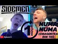 W2S Singing Numa Numa (Dragostea Din Tei) For 1 HOUR!!