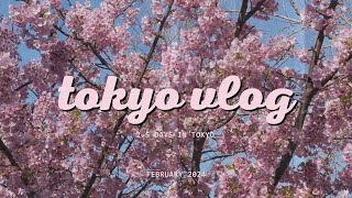 2.5 Days in Tokyo 🇯🇵 || wandering tokyo streets, tsukiji market, asakusa, cherry blossoms, food