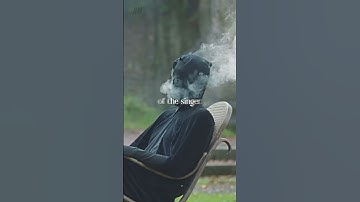 Little Dark Ages Meaning by MGMT