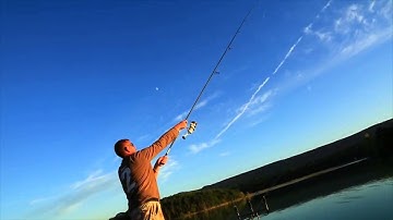 Prologic Quasar bojlis bot dobás közben