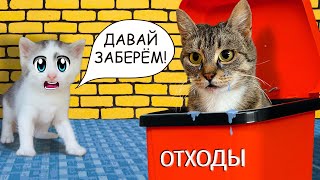 Спасение Бездомной Кошки! Она Беременна! Реакция Кота Малыша И Кошечки Мурки На Историю Про Кошку