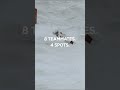 Qualified Trailer: Stifel U.S. Moguls Team SWEEP 1-4 in Val St. Come