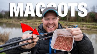 Two Rigs For Maggot Fishing | Andy May