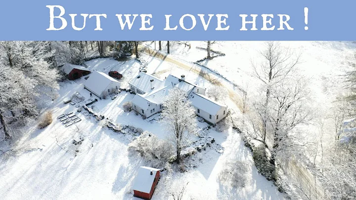 Sugarwood is getting our attention as we renovate ...