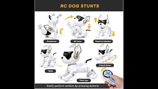 Top Race Robot Dog Review & Demo 2025