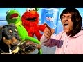 Angry Mom takes Kermit the Frog, Elmo, Towelie & Puppy to the Beach!