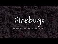 A Colony of FIREBUGS ● Unusual Relaxation Music || 1 hour