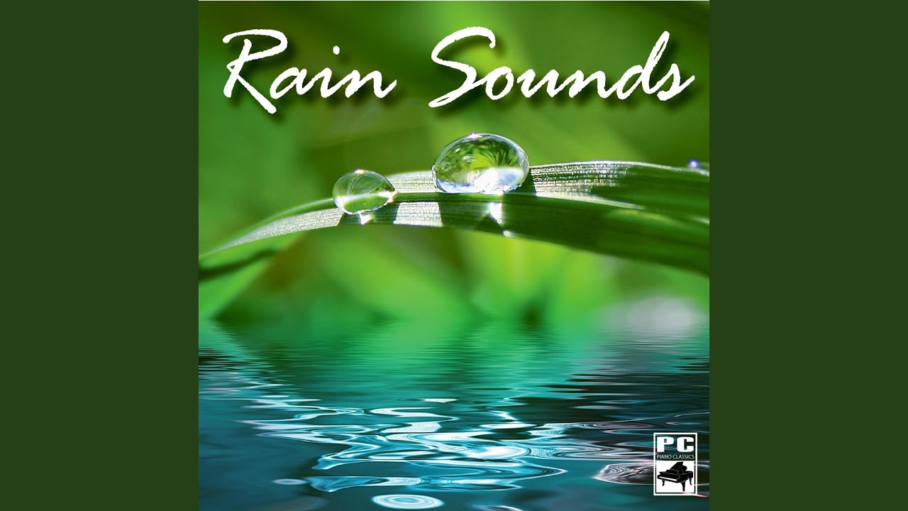 Wind and Rain Sound Effects YouTube
