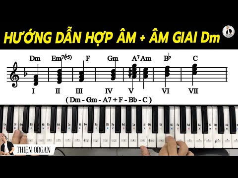 HƯỚNG DẪN ÂM GIAI Dm và Bộ Hợp Âm Tone Rê thứ || THIỆN ORGAN mới nhất 2023