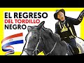 🐴 TORDILLO NEGRO - EL REGRESO del TORDILLO NEGRO (Video Oficial)