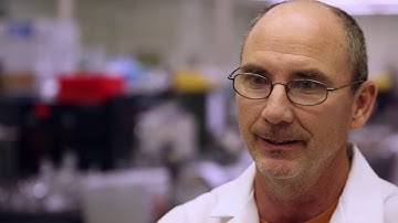 MSD Day in the Life (DIL): Lab Tech