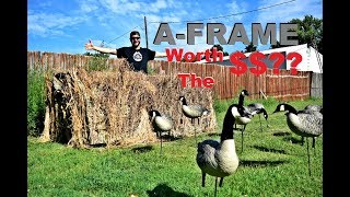 Is the AVIAN X A-FRAME BLIND Worth the MONEY$$??