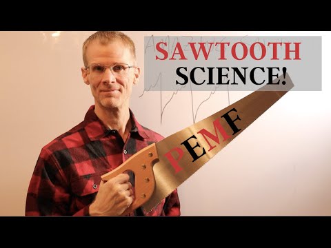 PEMF Science - The Incredible Sawtooth Signal!