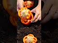 Genius Gardening Hacks You Need to Try