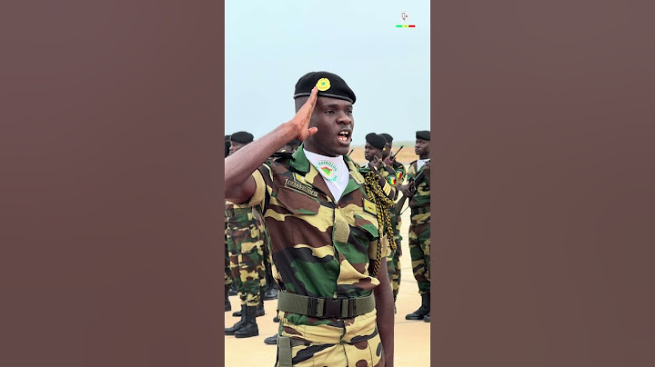 Arrivée du Président Bassirou Diomaye Faye à Saint-Louis pour une visite officielle