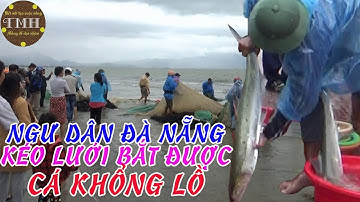 Bắt cá biển gần bờ của ngư dân Đà Nẵng HẤP DẪN DU KHÁCH | Vietnam travel tour