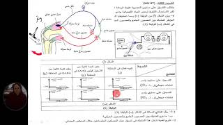 العرض 73 مراجعة الوحدة5 حل تمرين البنزوديازبين باك 2016
