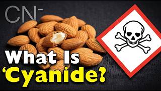 The Poison Hidden In Your Apple Seeds Right Now