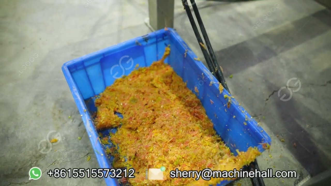 Tomato Washing And Pulping Machine