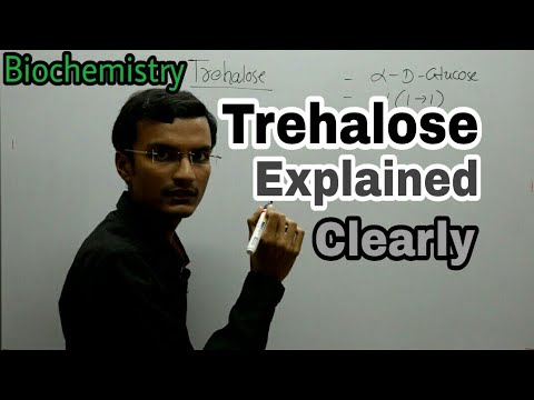Trehalose Disaccharide | Biochemistry lecture