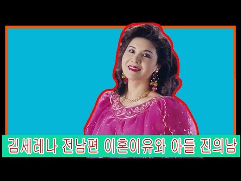 김세레나 전남편 이혼이유와 아들 진의남