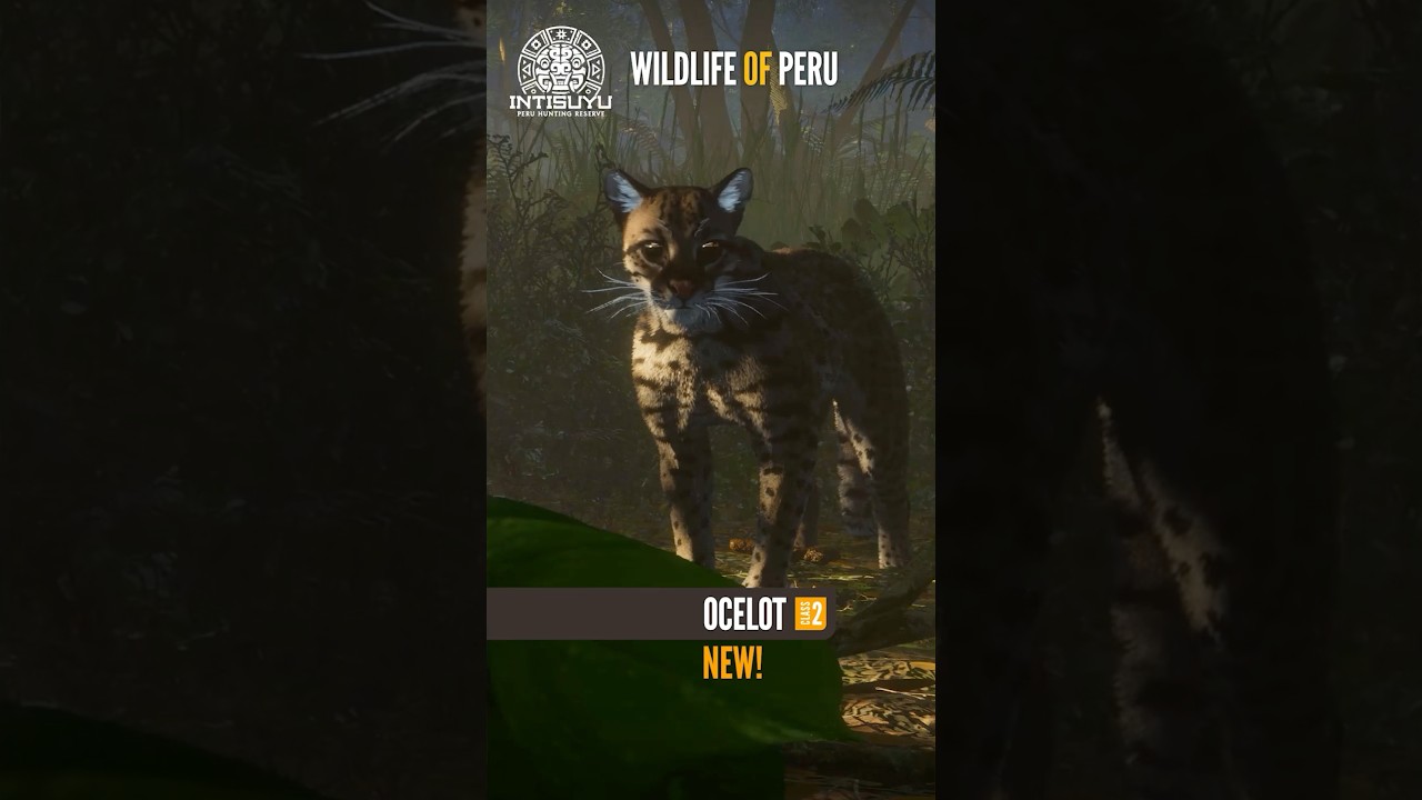 We’re Getting OCELOTS & TAPIRS! | All 14 Peru Species!!! #cotwgameplay #cotw #thehunter