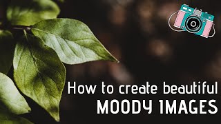 How to create MOODY IMAGES- In camera by Photography for the REST of us 478 views 3 years ago 19 minutes