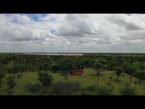 Realax Somali Music