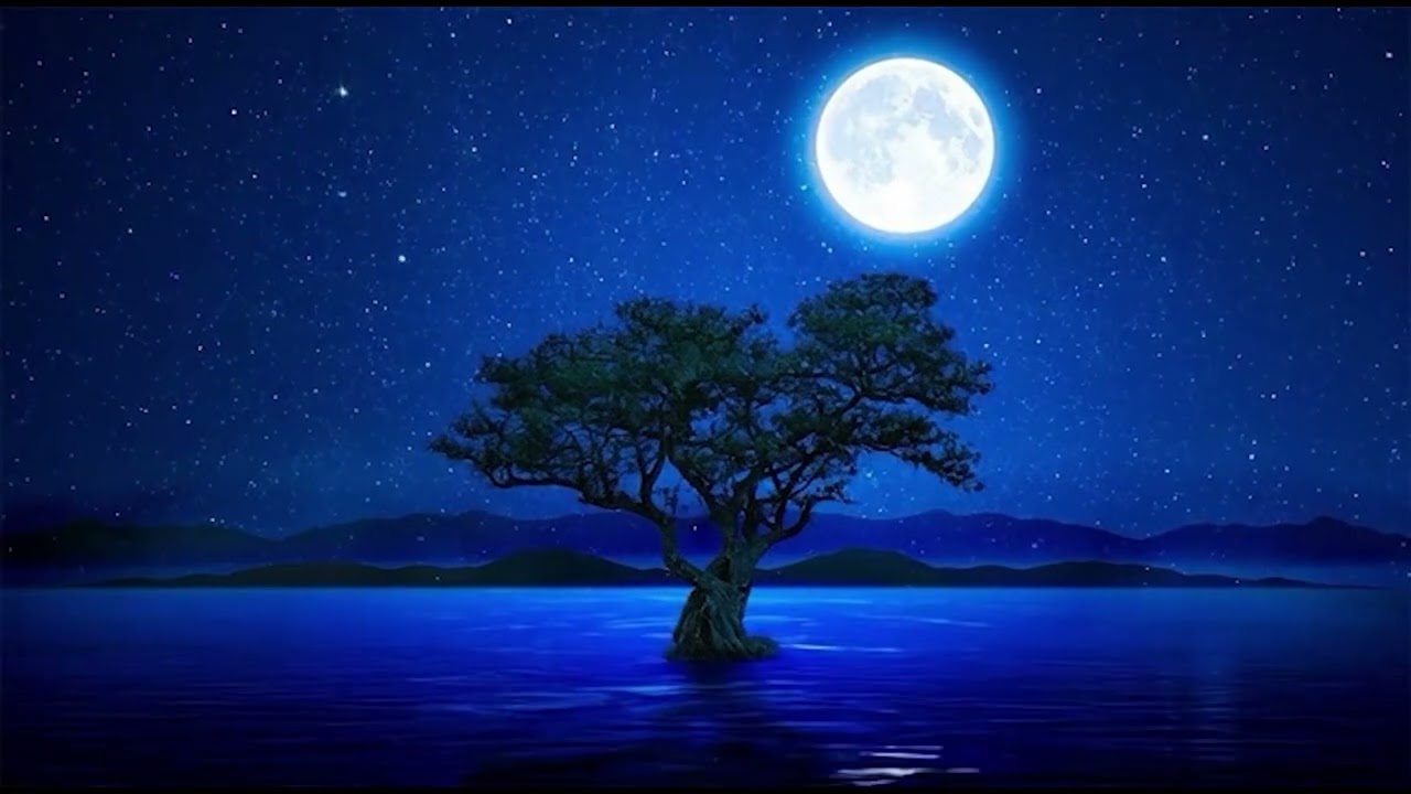 Beautiful relaxing music, soothing and calming instrumental music