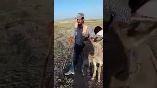 Çoban Abimizden Güzel Bi Türkü Resimi