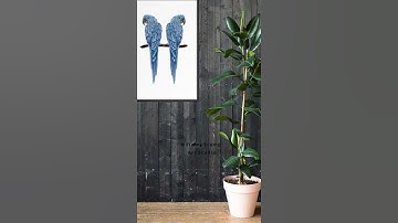 Drawing art process blue macaw Procreate on ipad #Shorts