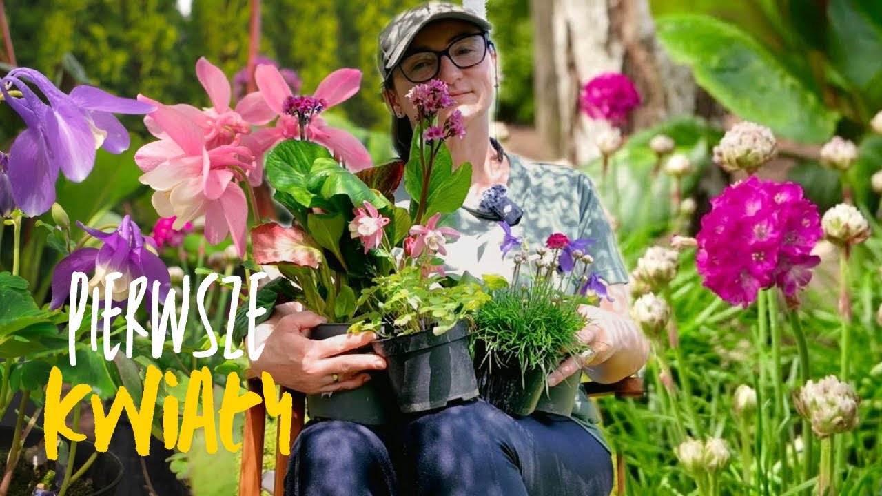 Rabata Kwiatowa Sadzimy Pierwsze Kwiaty w Ogrodzie