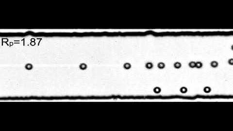 Sheathless inertial cell ordering for extreme throughput flow cytometry-ESI movie3