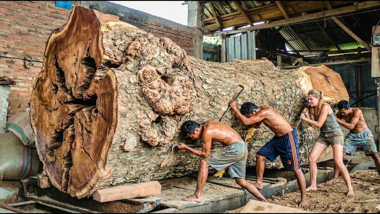 Perfect Sawmill Cutting – Zero Waste, Maximum Precision