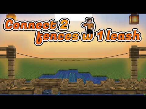 How To connect two fences with a leash! (Command Tutorial)