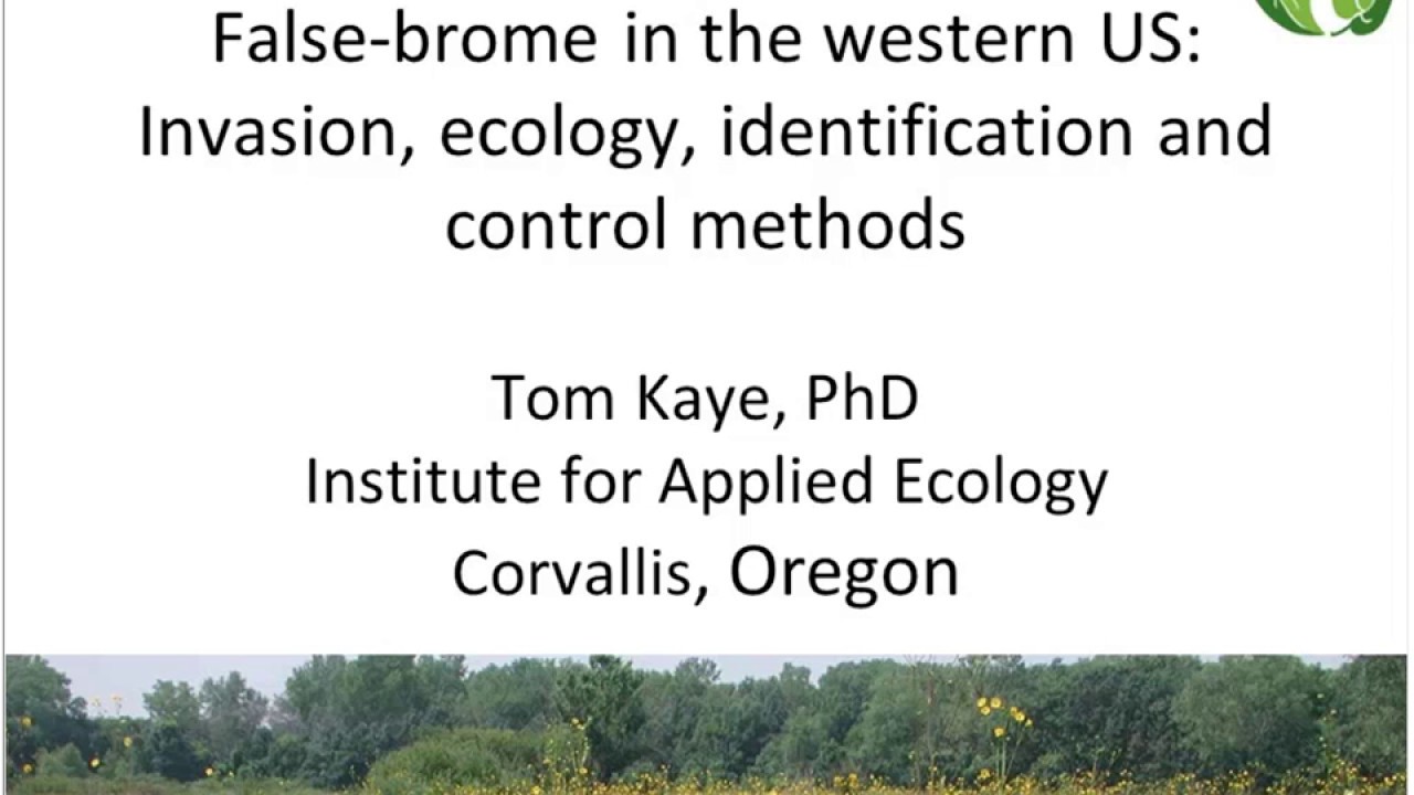 False-brome in the western US: Invasion, ecology, identification and control methods (Feb 2017)