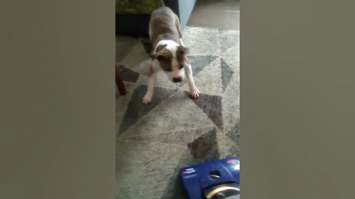 my baby boy