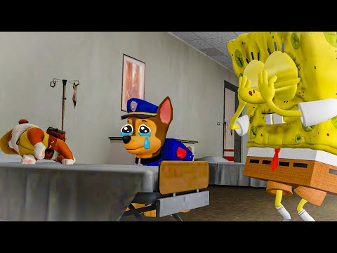 RUBBLE WENT INTO INTENSIVE CARE CHASE SAVES HIM In Garry's Mod! (Paw Patrol) - RUBBLE WENT INTO INTENSIVE CARE CHASE SAVES HIM In Garry's Mod! (Paw Patrol)