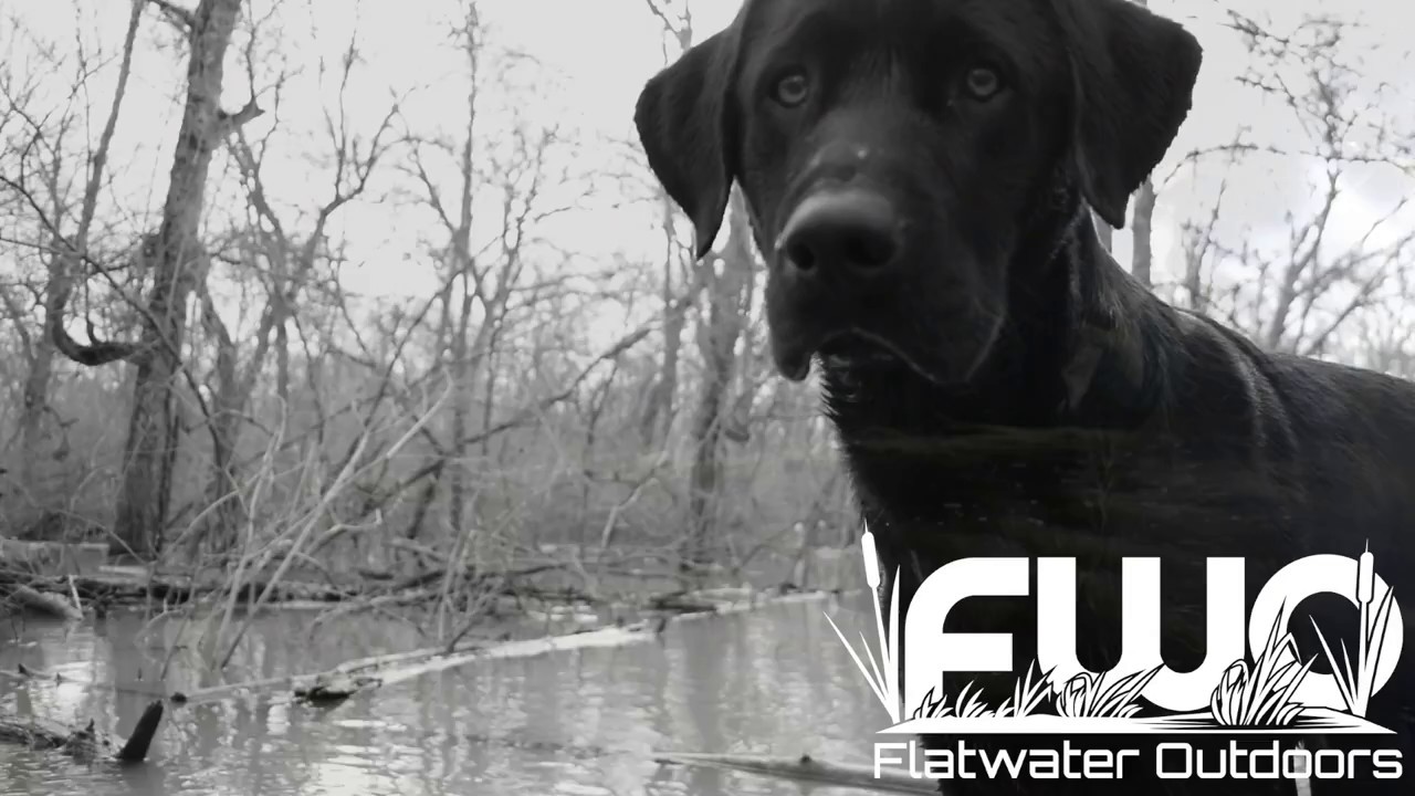 Duck Hunting East Texas The Big Flood YouTube
