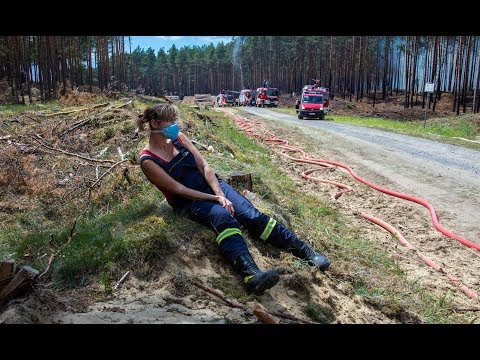 WELT THEMA: Riesiger Waldbrand bei Lübtheen - Weiterer Ort evakuiert