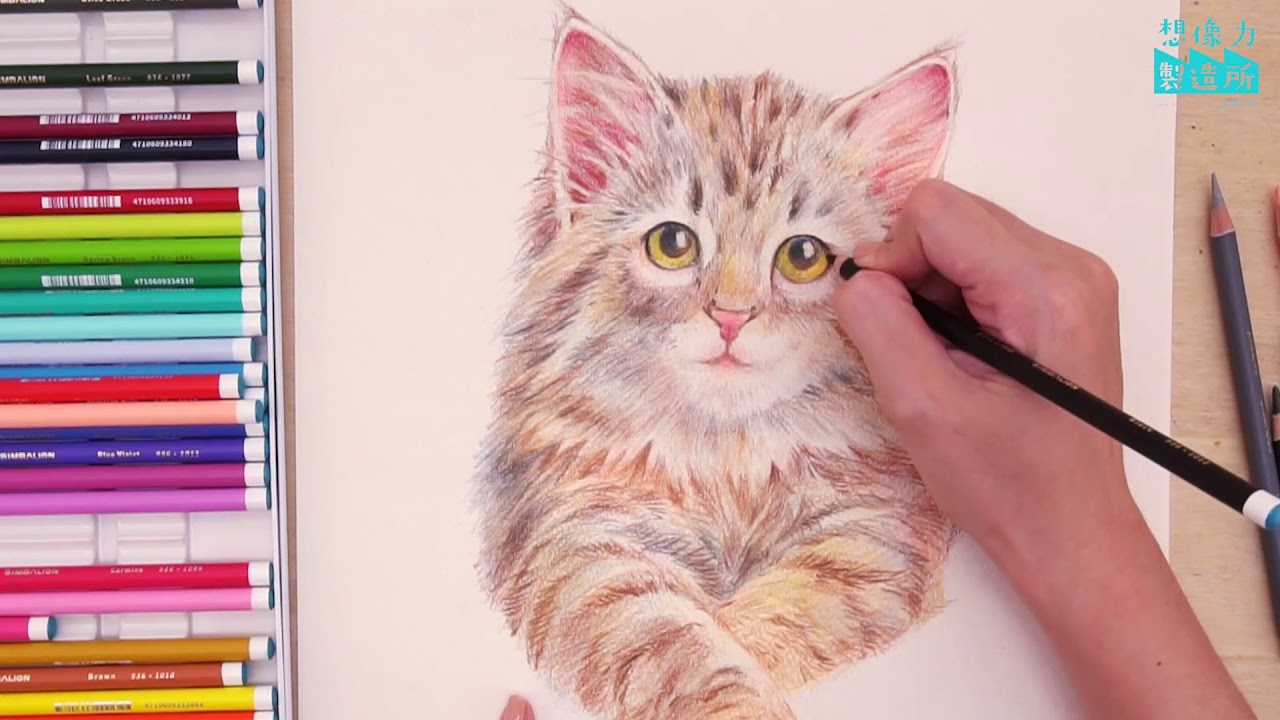 用色鉛筆畫出迷人的大眼萌貓 雄獅kreemo專業油性彩色鉛筆 Youtube
