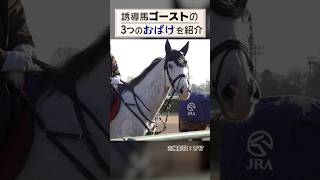 誘導馬・ゴーストのおばけマークを紹介 #競馬 #horse #誘導馬 #癒し