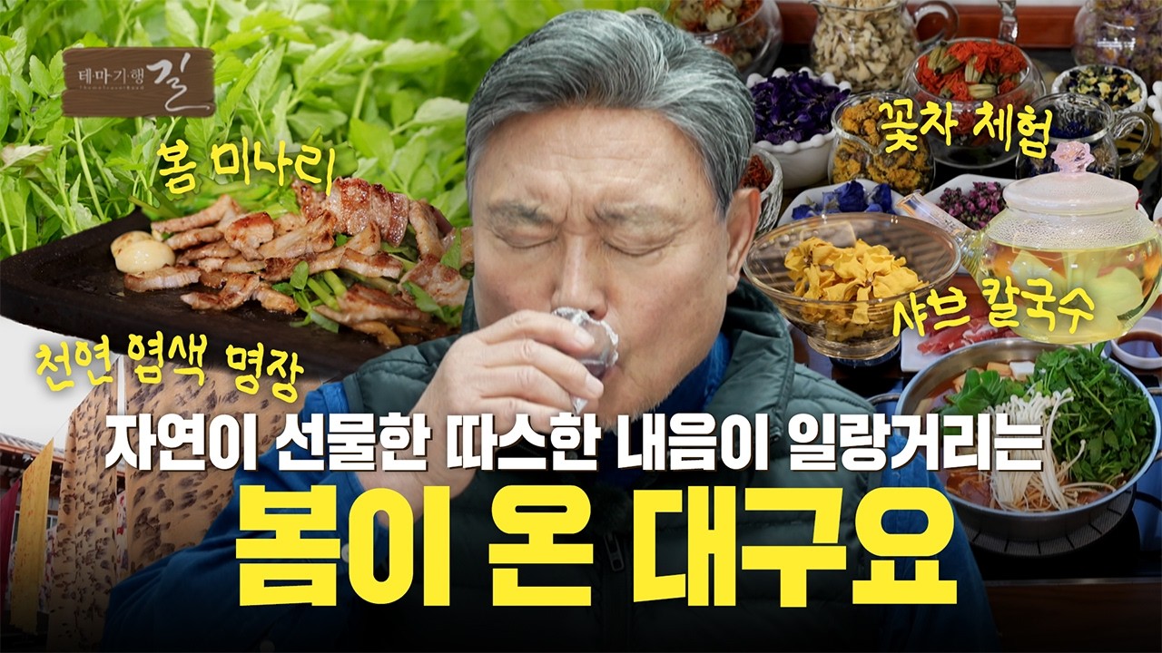 자연이 선물한 따스한 내음이 일랑거리는 봄이 온 대구요 | 테마기행 길 | 26년 3월 6일