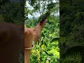 🌱🦋