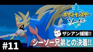 初めてのポケモン剣盾　Part.11